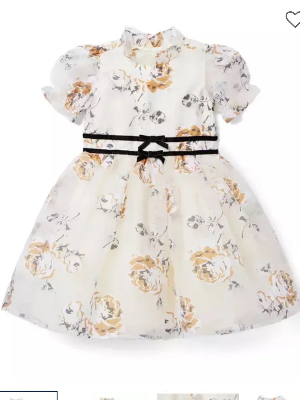 Janie & Jack The Winter Rose Dress Sz 4
